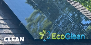 342348423_898007864829433_4729326273401903194_nba