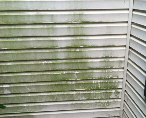 greenvillepressurewashingbefore1